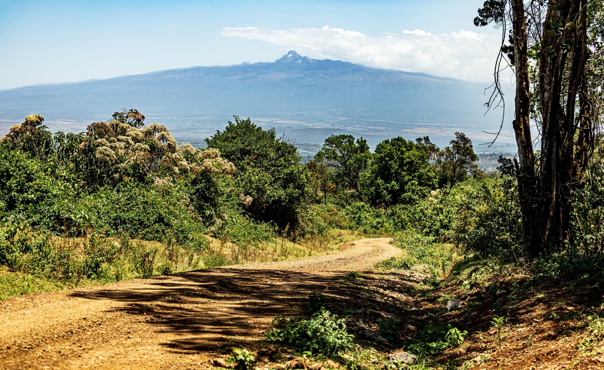 Mount Kenya seen across forest from Aberdare National Park, Kenya
