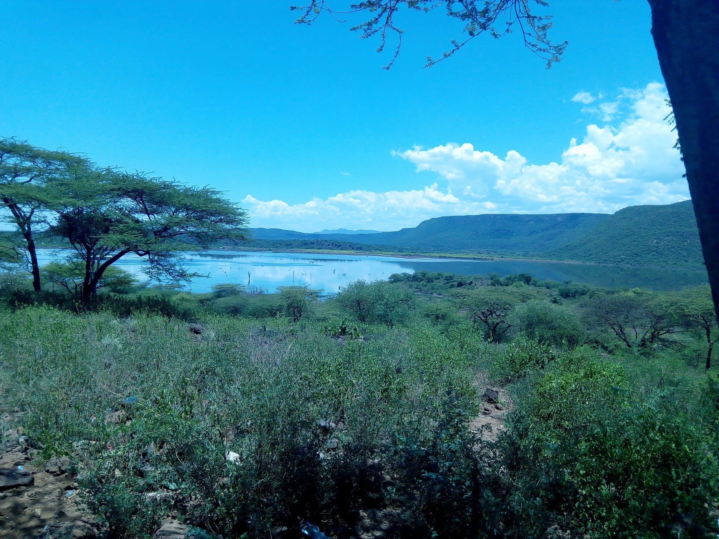 A view over Lake Bogoria, Kenya