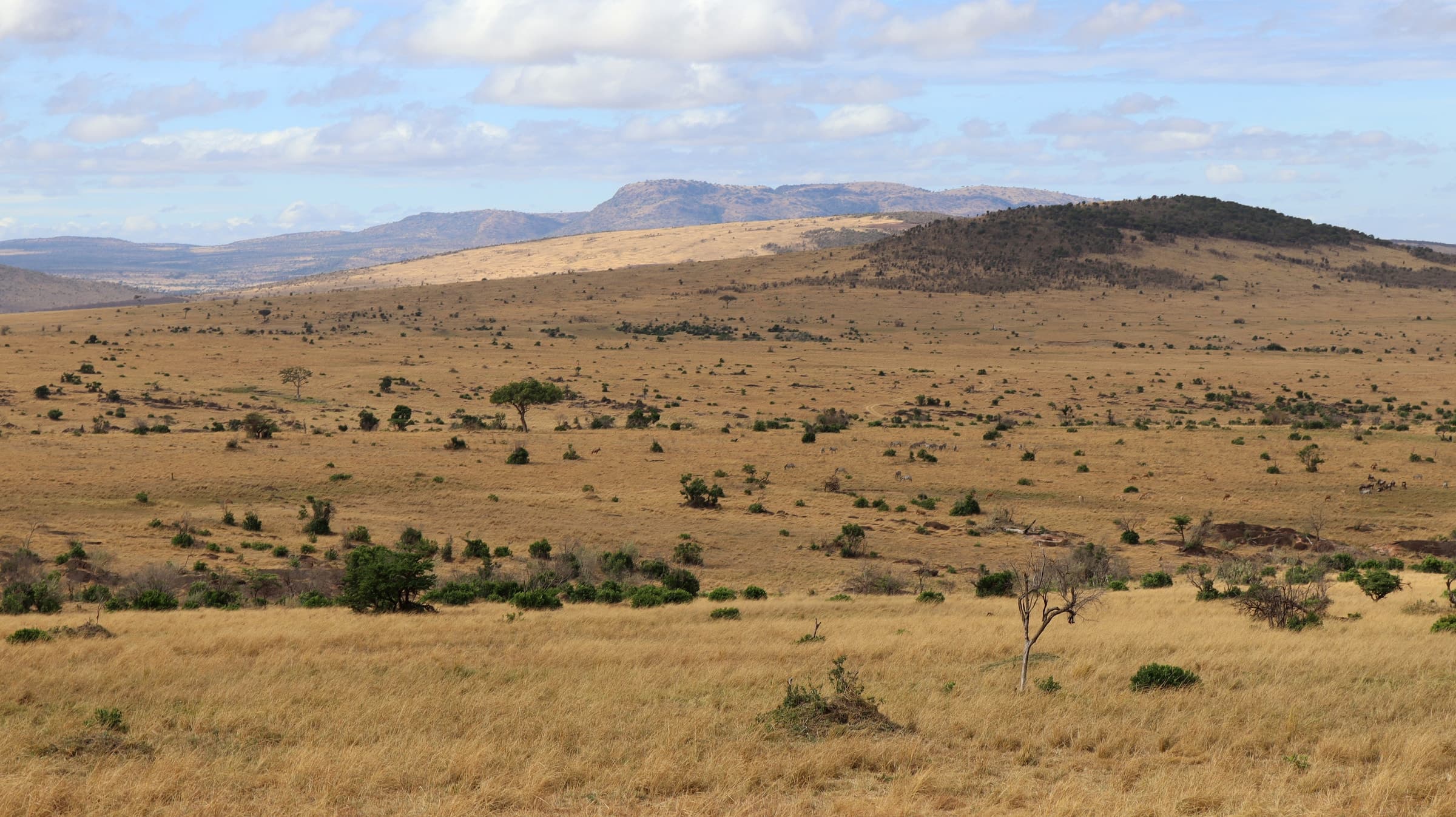 Rolling grassland below distant hills in the Maasai Mara