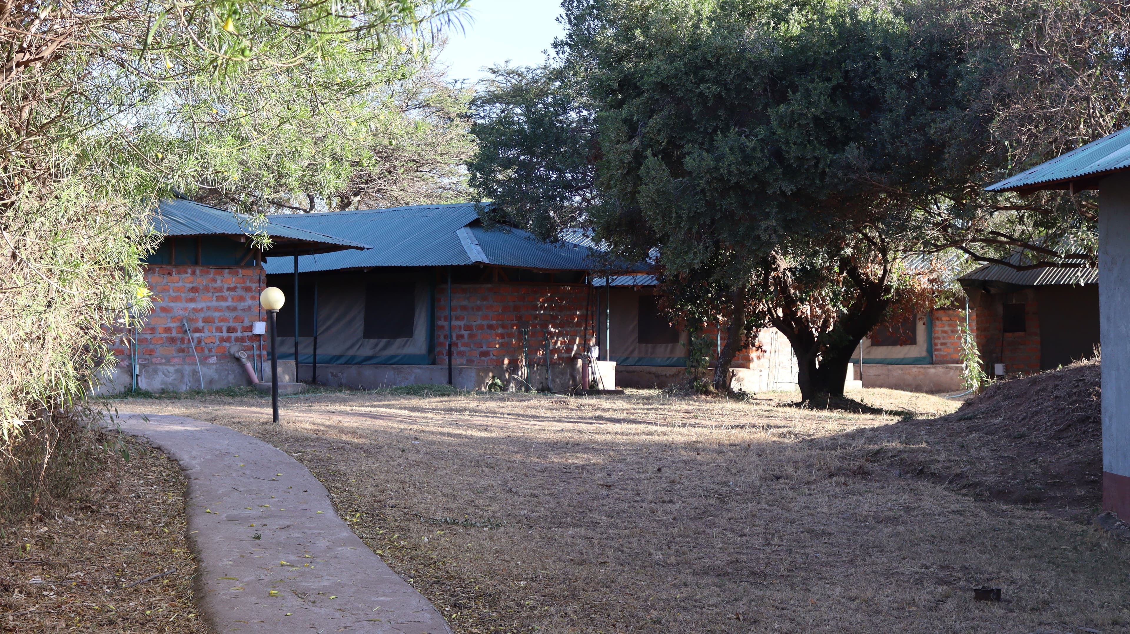 Brick-and-canvas buildings beside a large shade tree at Miti Mingi Eco Camp