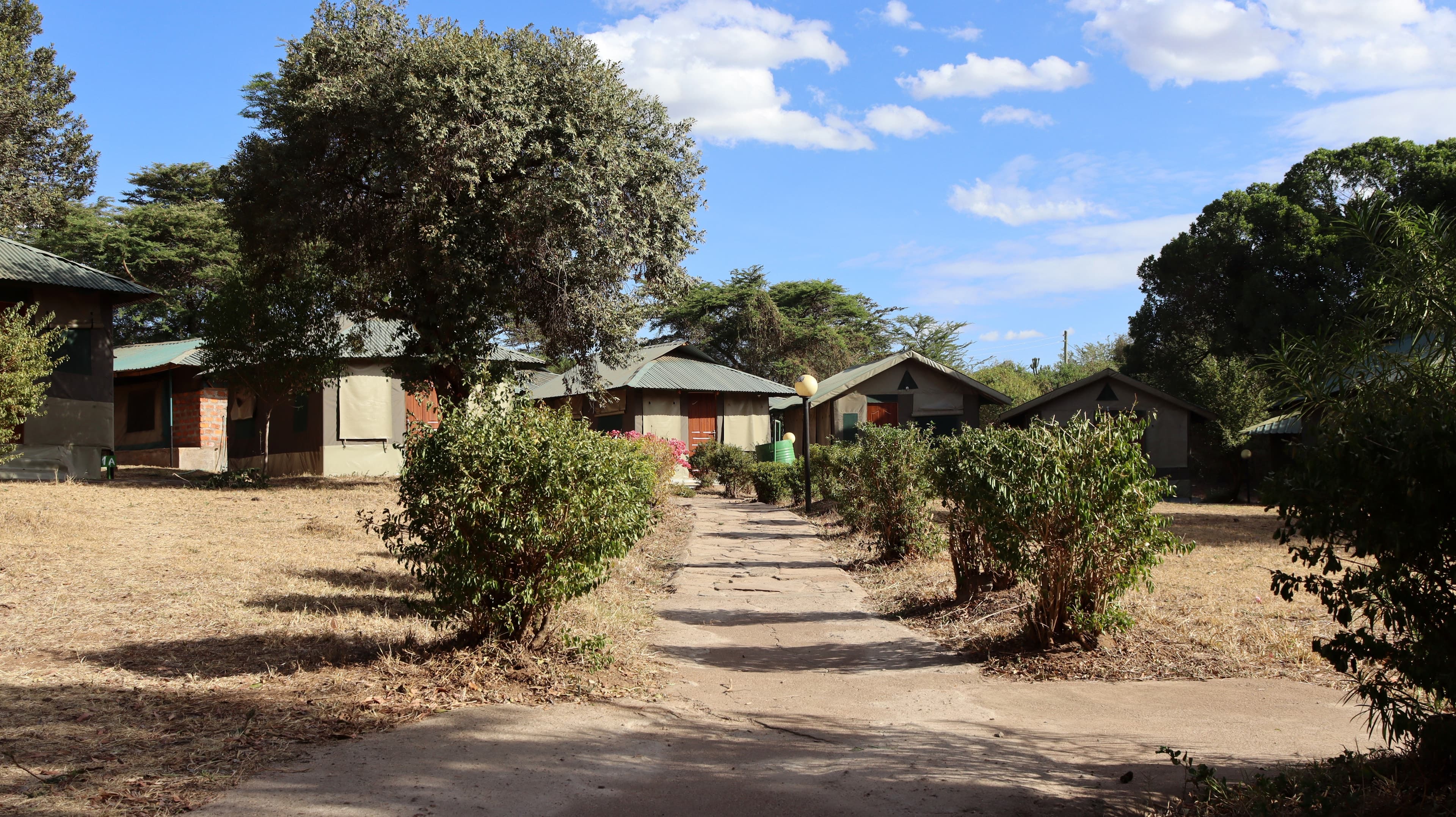 A paved path between shrubs leading towards the guest tents at Miti Mingi Eco Camp