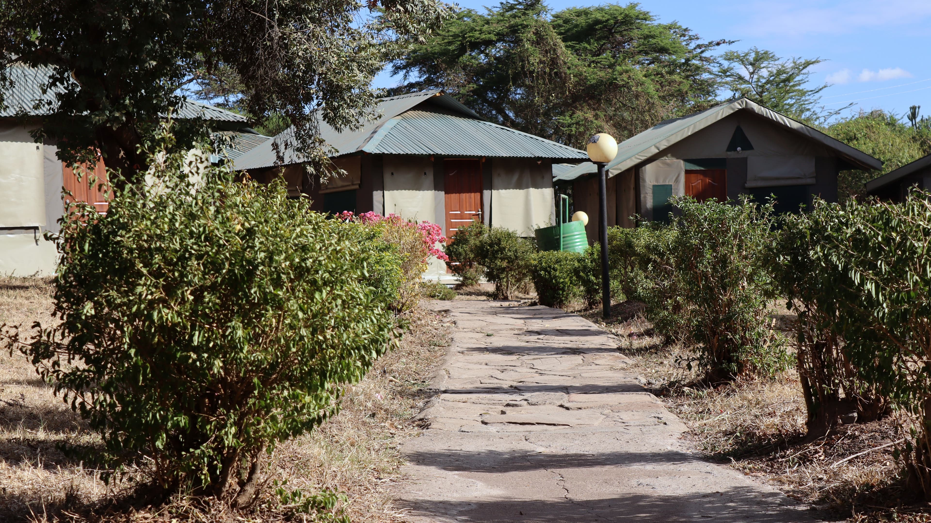 A paved path lined with shrubs and a garden lamp between guest tents at Miti Mingi Eco Camp