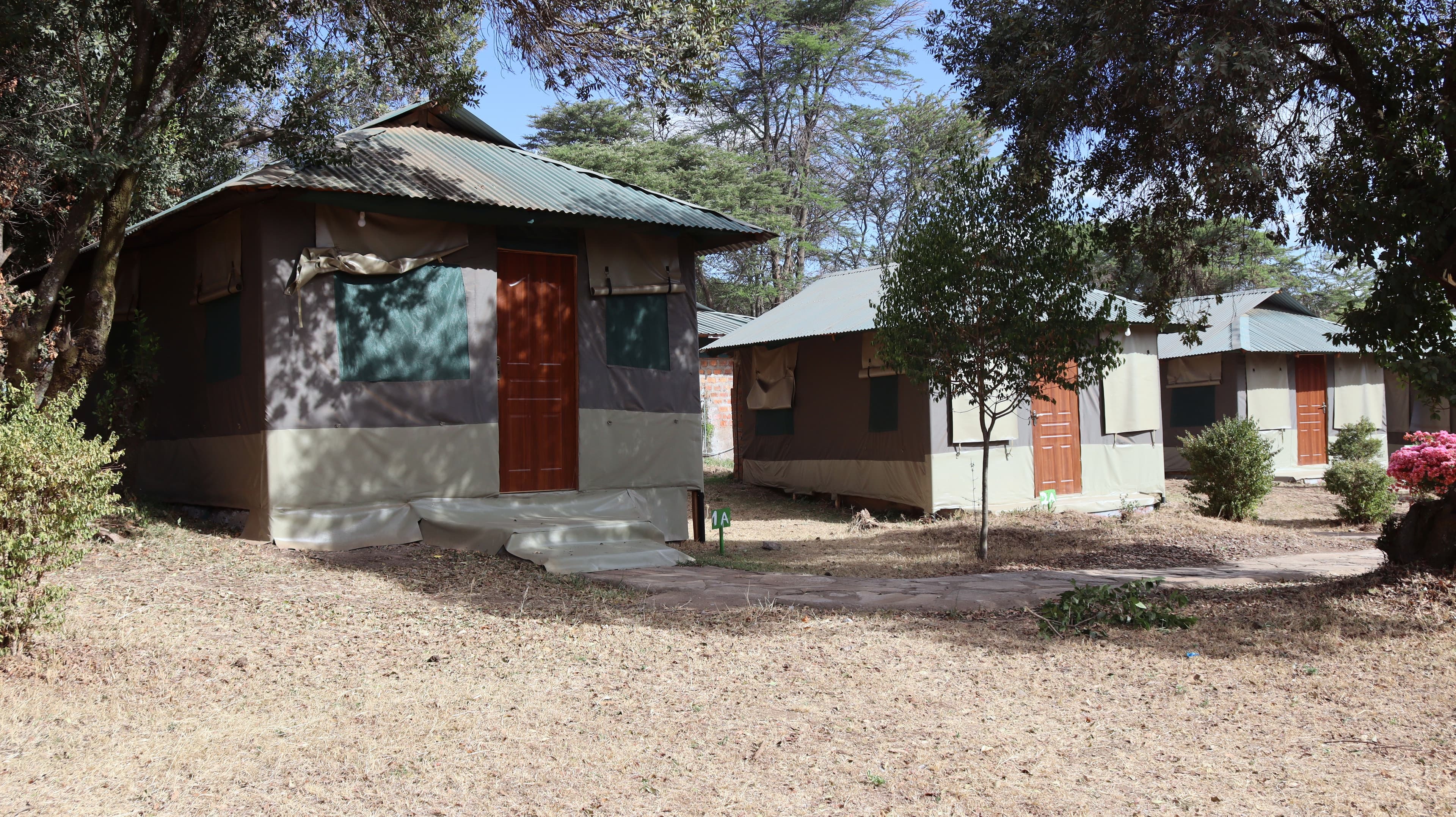 Free-standing canvas guest tents with green roofs among trees at Miti Mingi Eco Camp