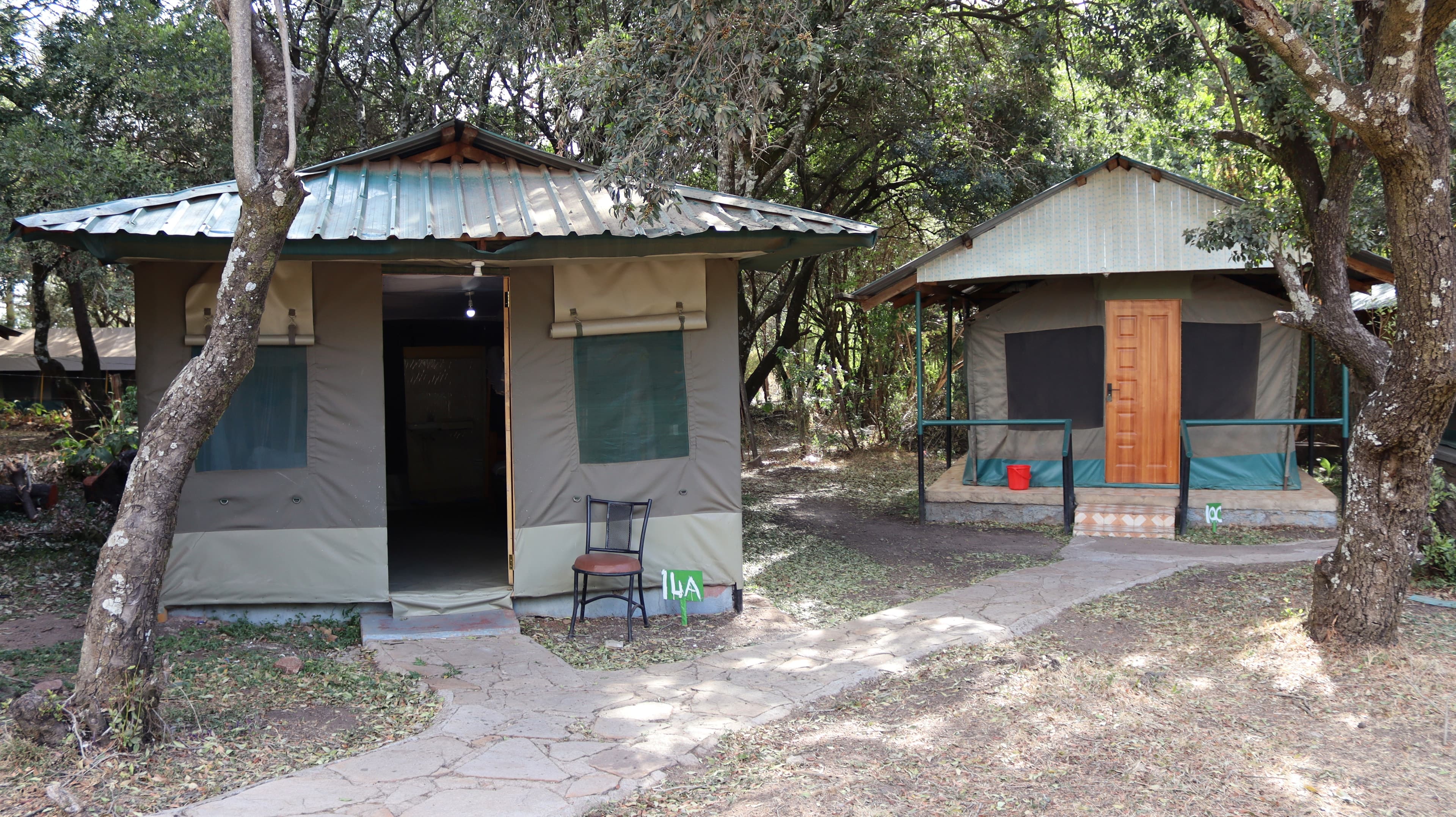 Two styles of canvas guest tent beside a stone path among trees at Miti Mingi Eco Camp