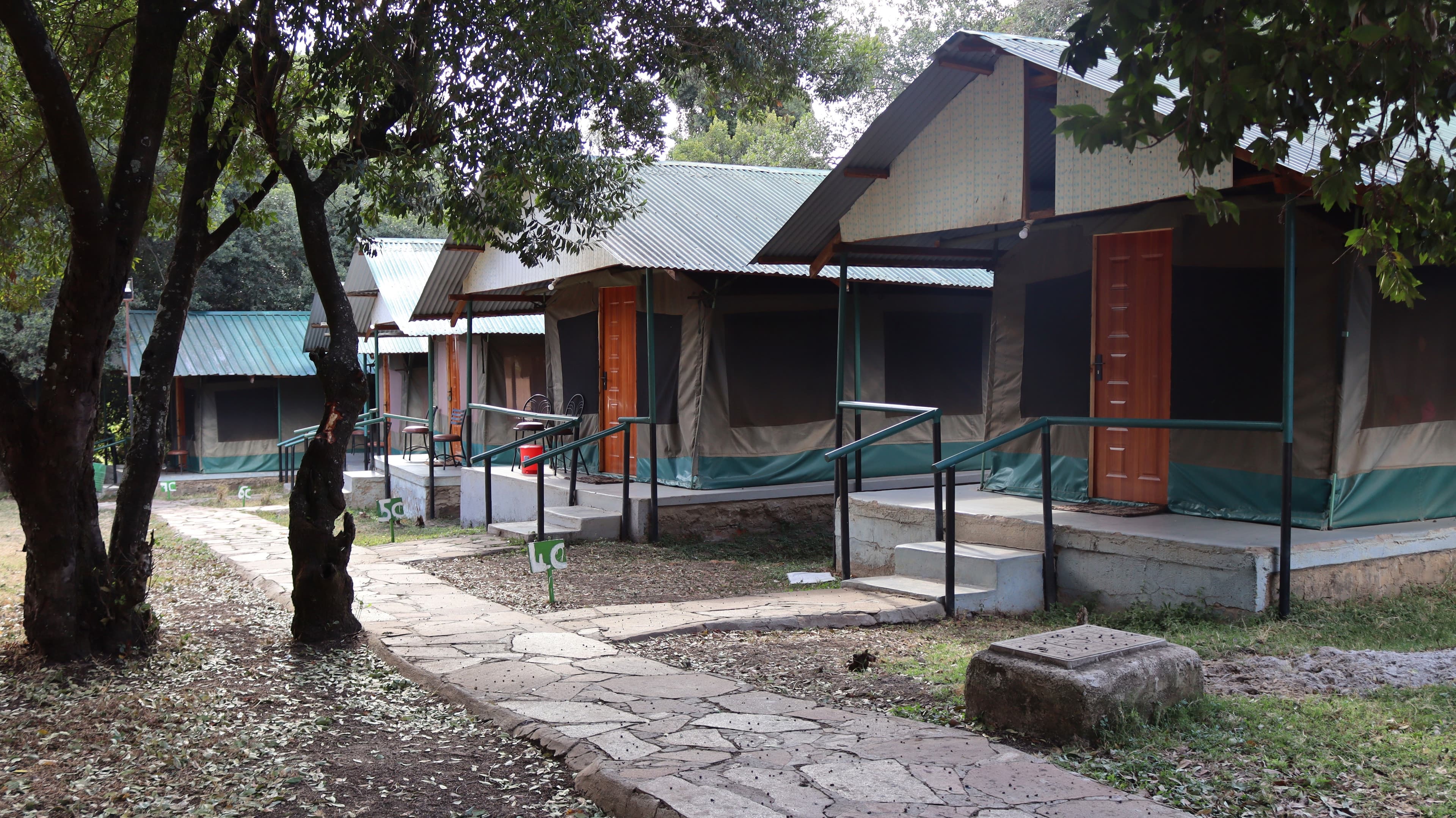 A flagstone path leading past canvas guest tents under shade trees at Miti Mingi Eco Camp