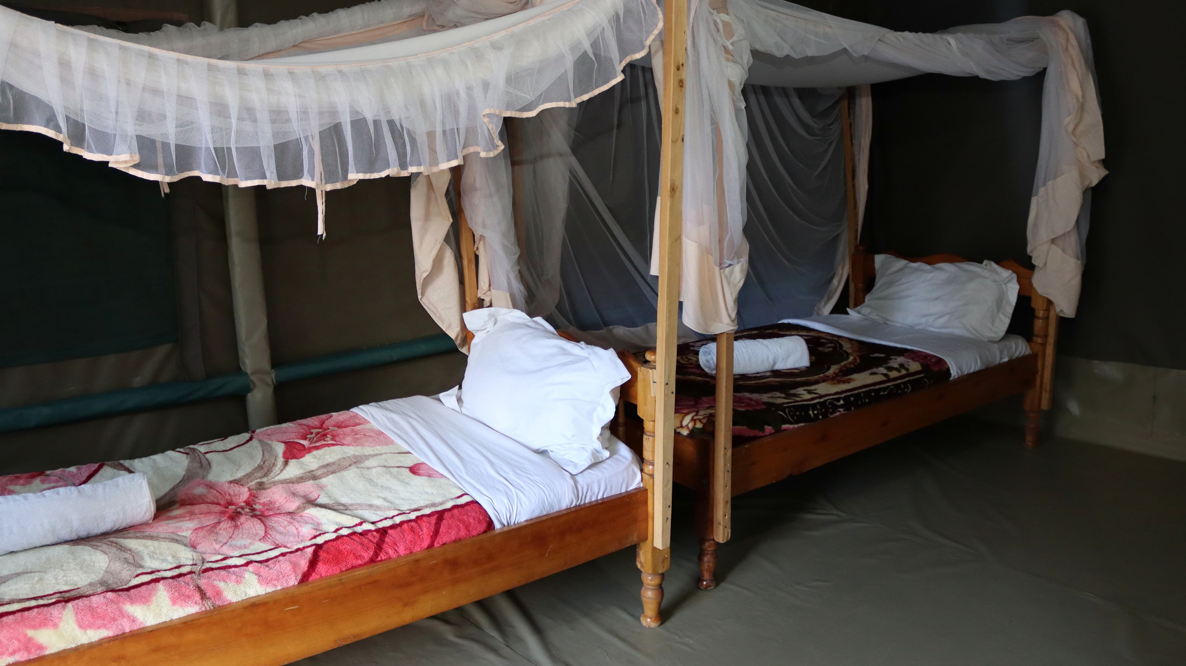 Two single beds with mosquito nets inside a guest tent at Miti Mingi Eco Camp