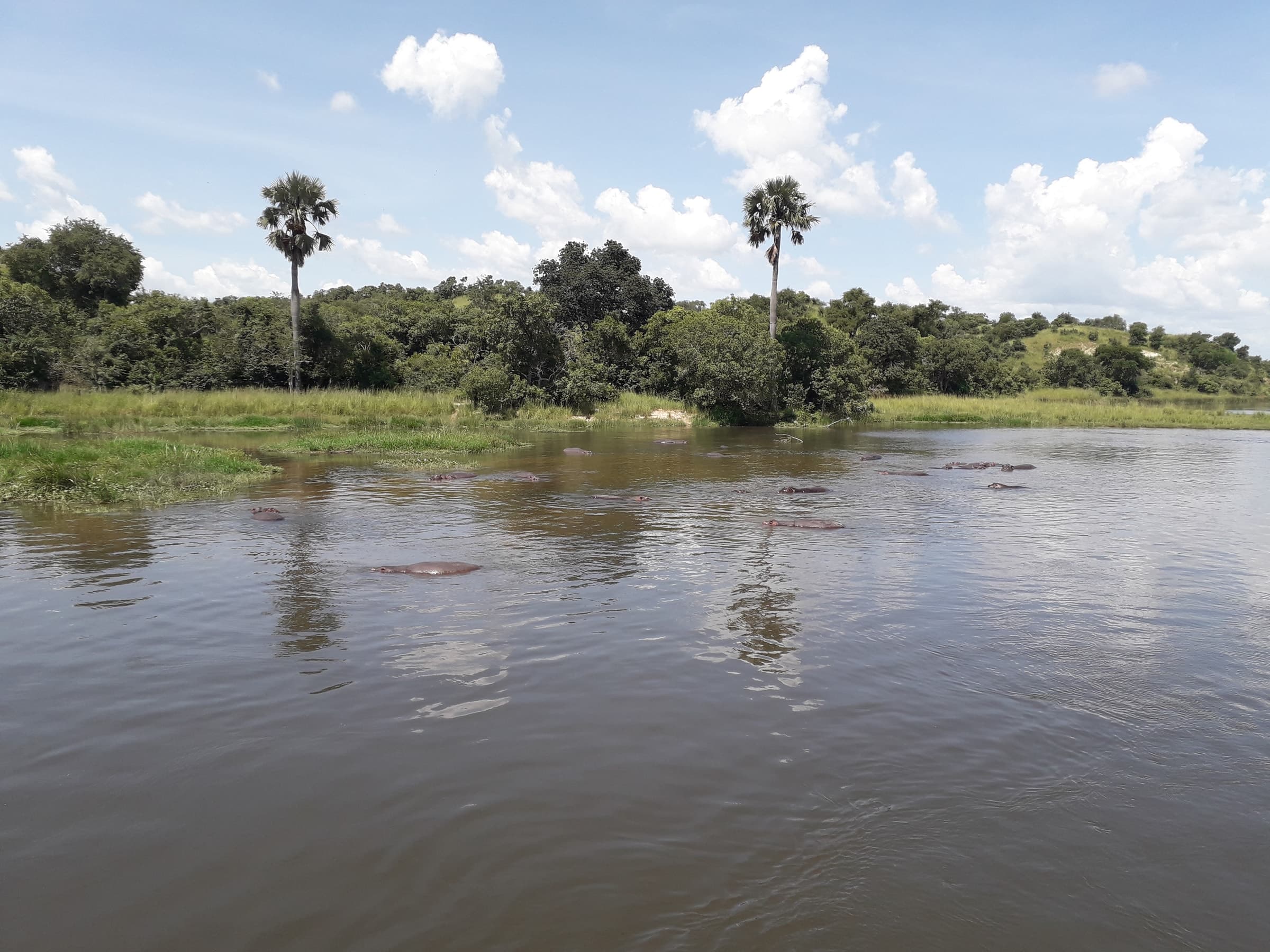 The River Nile in Murchison Falls National Park, Uganda