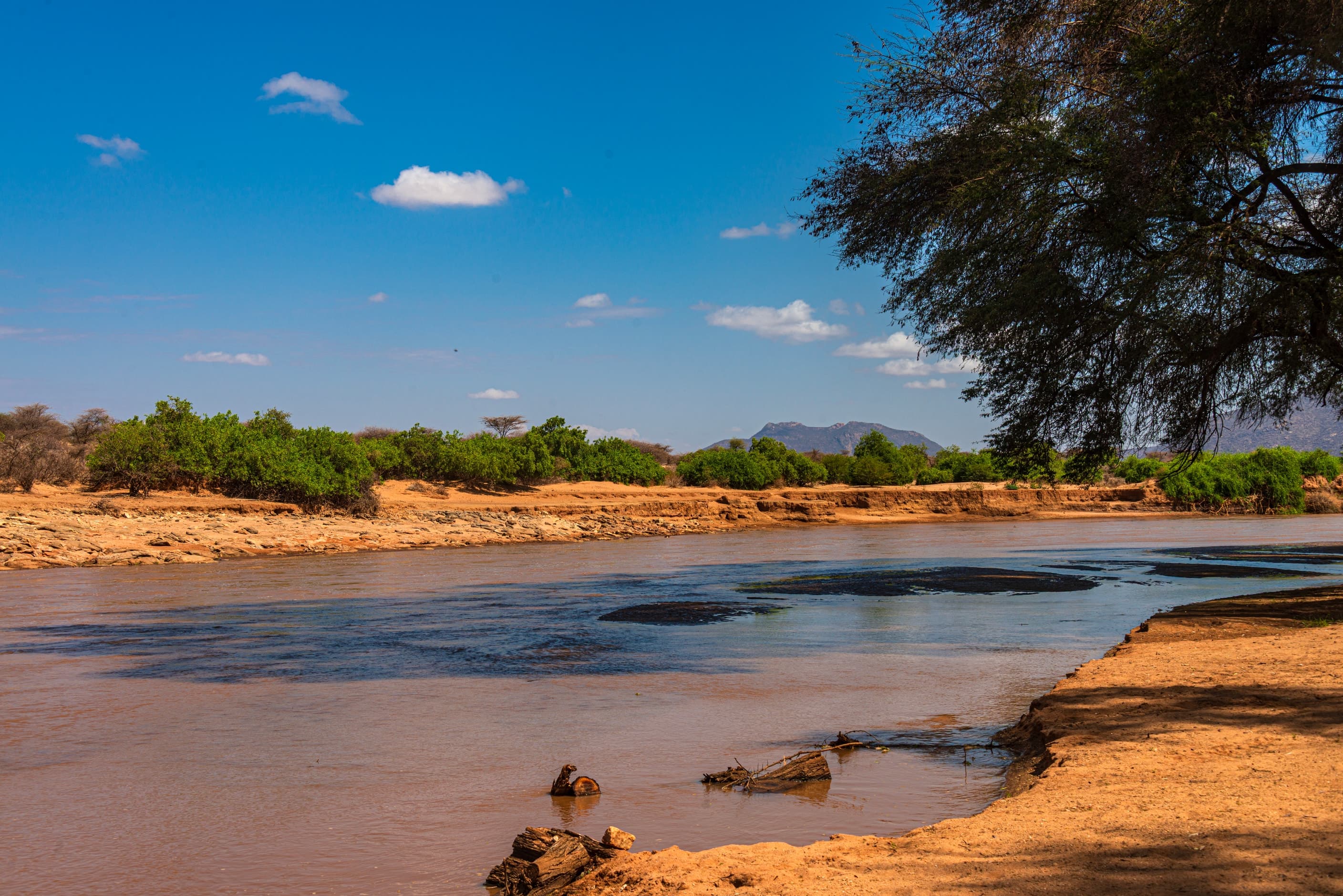 The Ewaso Ng’iro river in Samburu National Reserve, Kenya