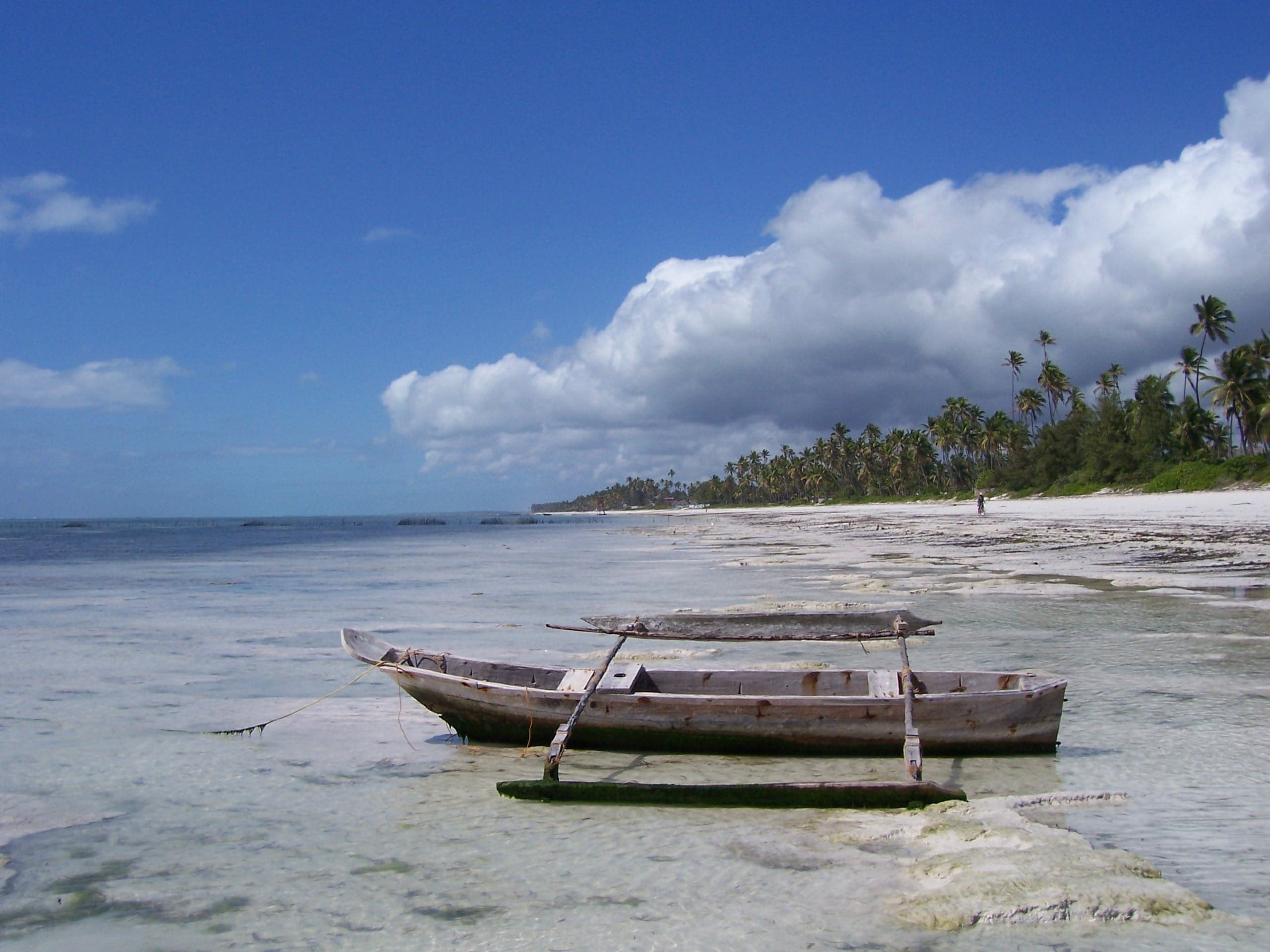 A traditional dhow on the sand at low tide on the east coast of Zanzibar, north of Bwejuu