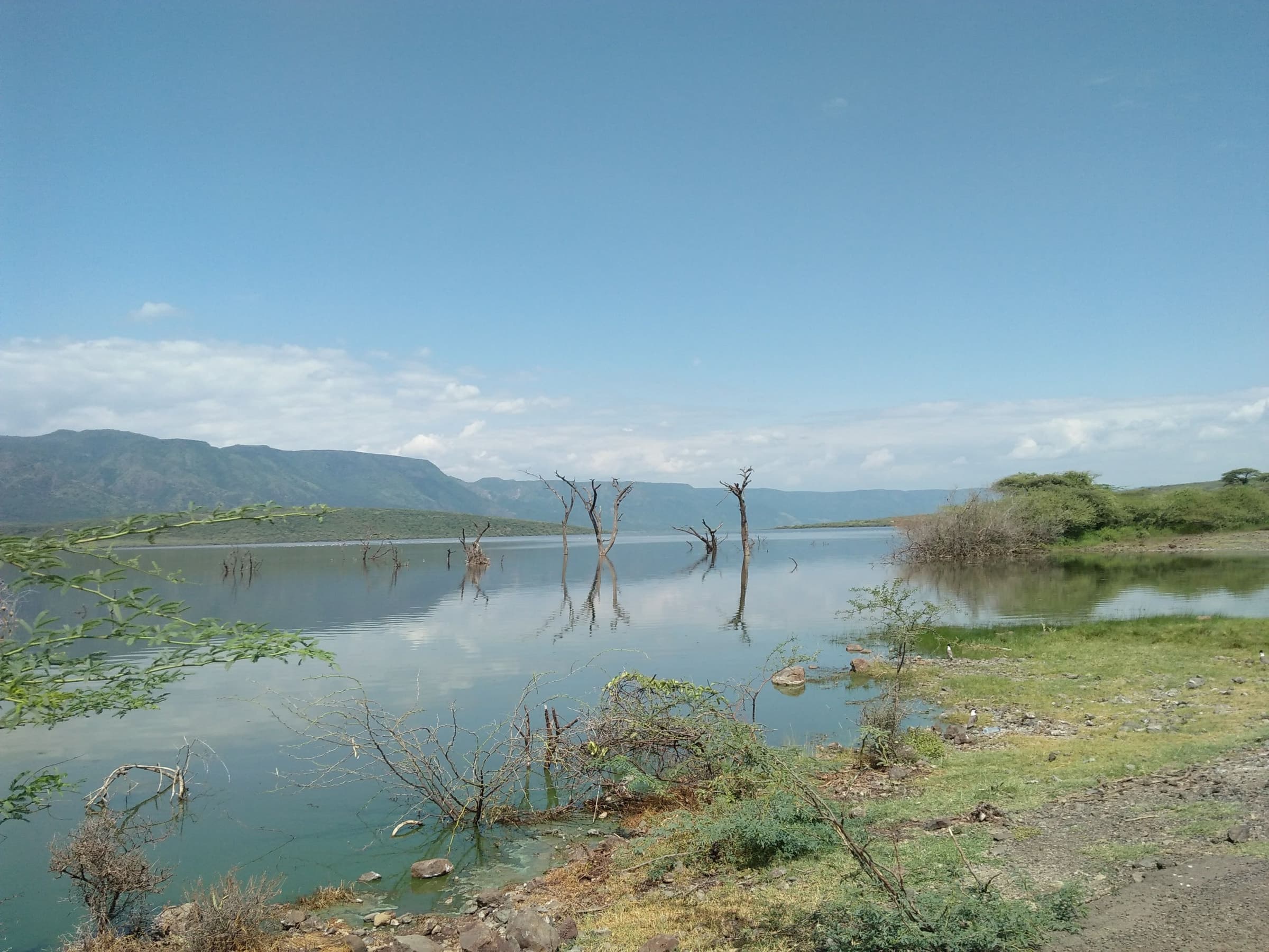 The shore of Lake Baringo below the hills of the Rift Valley, Kenya