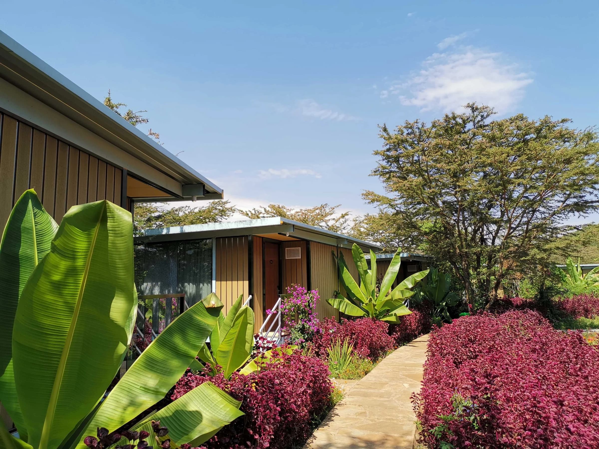 Garden path between guest cabins at Jambo Mara Safari Lodge