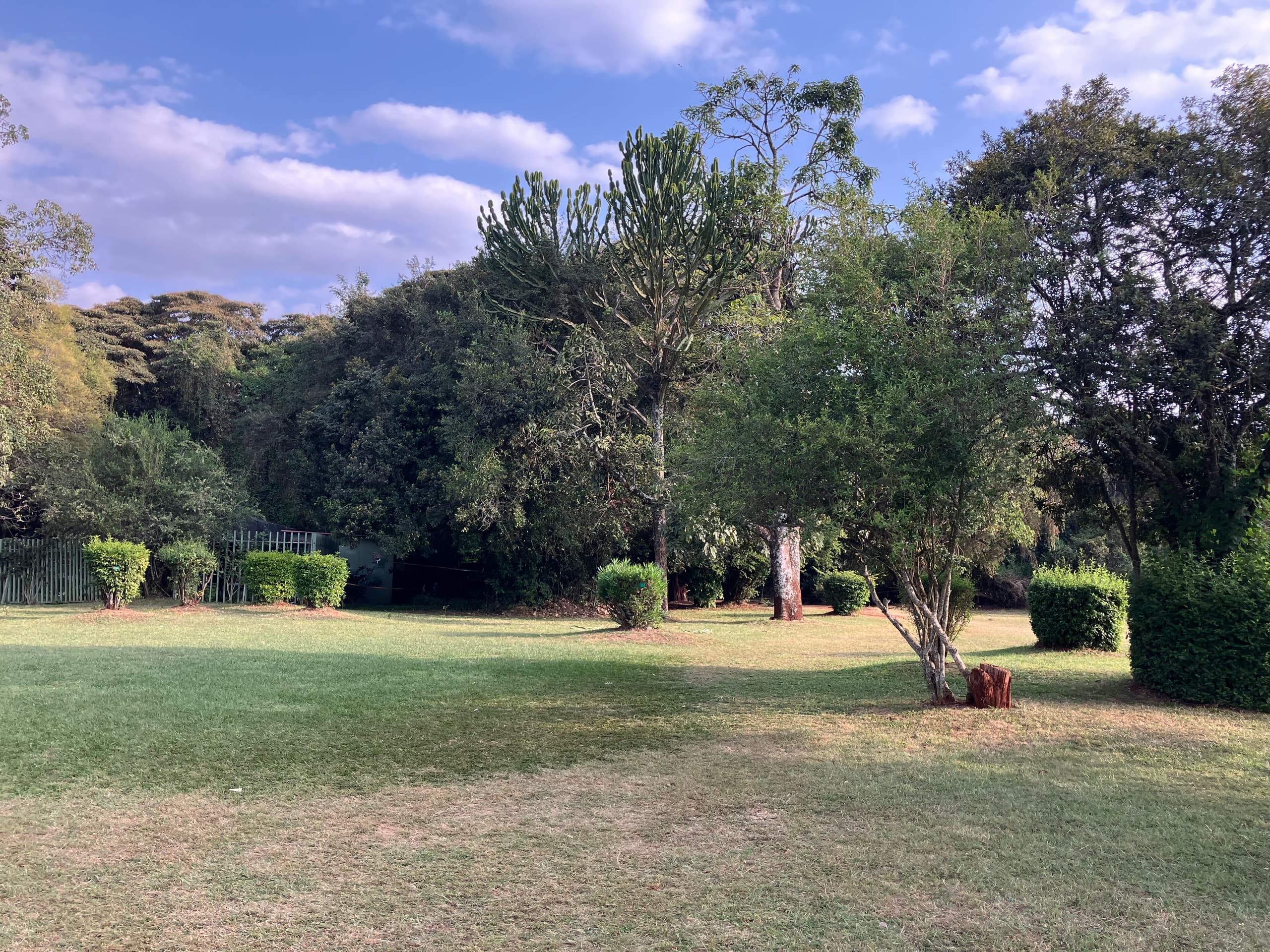 The garden of the Karen Blixen Museum, Nairobi