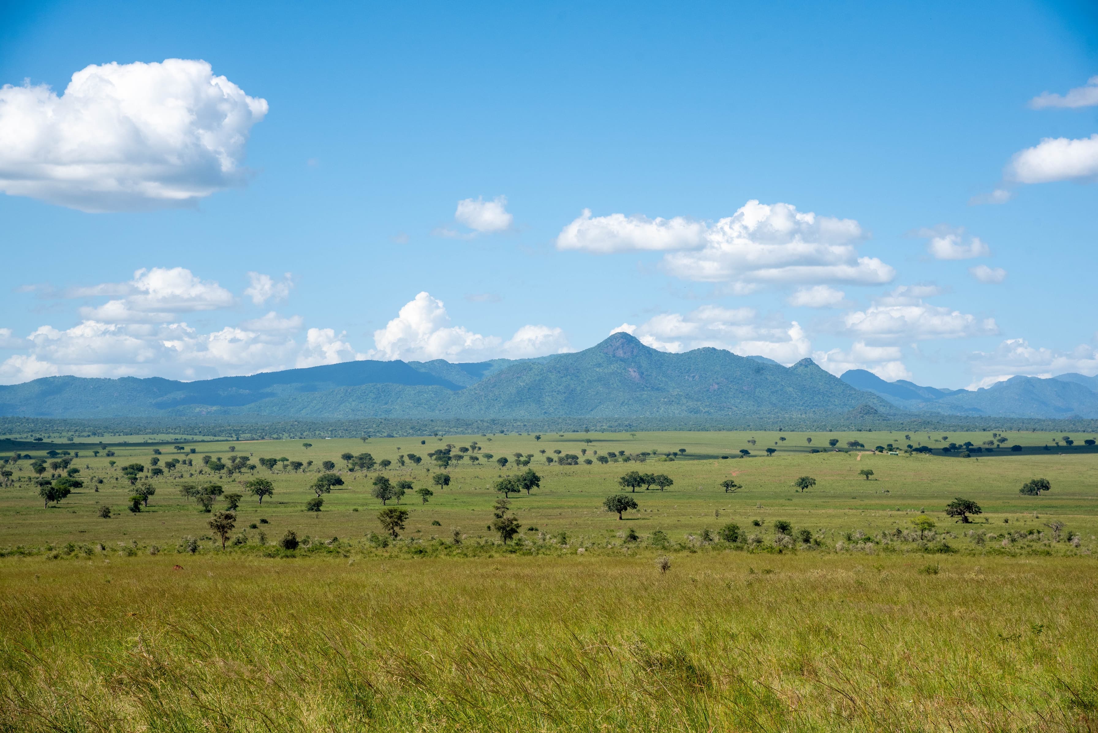Mount Murongole above the plains of Kidepo Valley National Park, Uganda