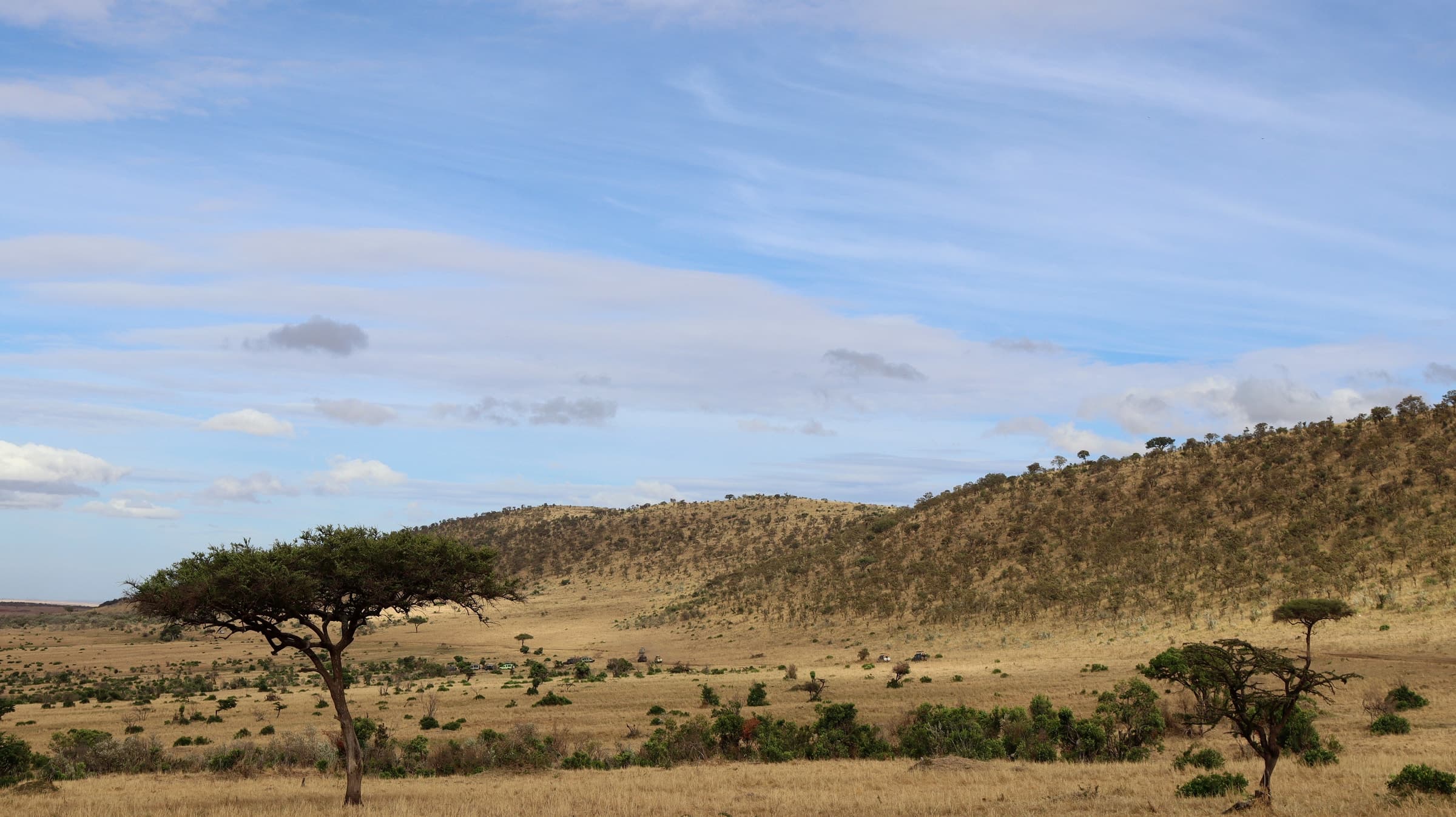 Flat-topped acacias on grassland below a long ridge in the Maasai Mara