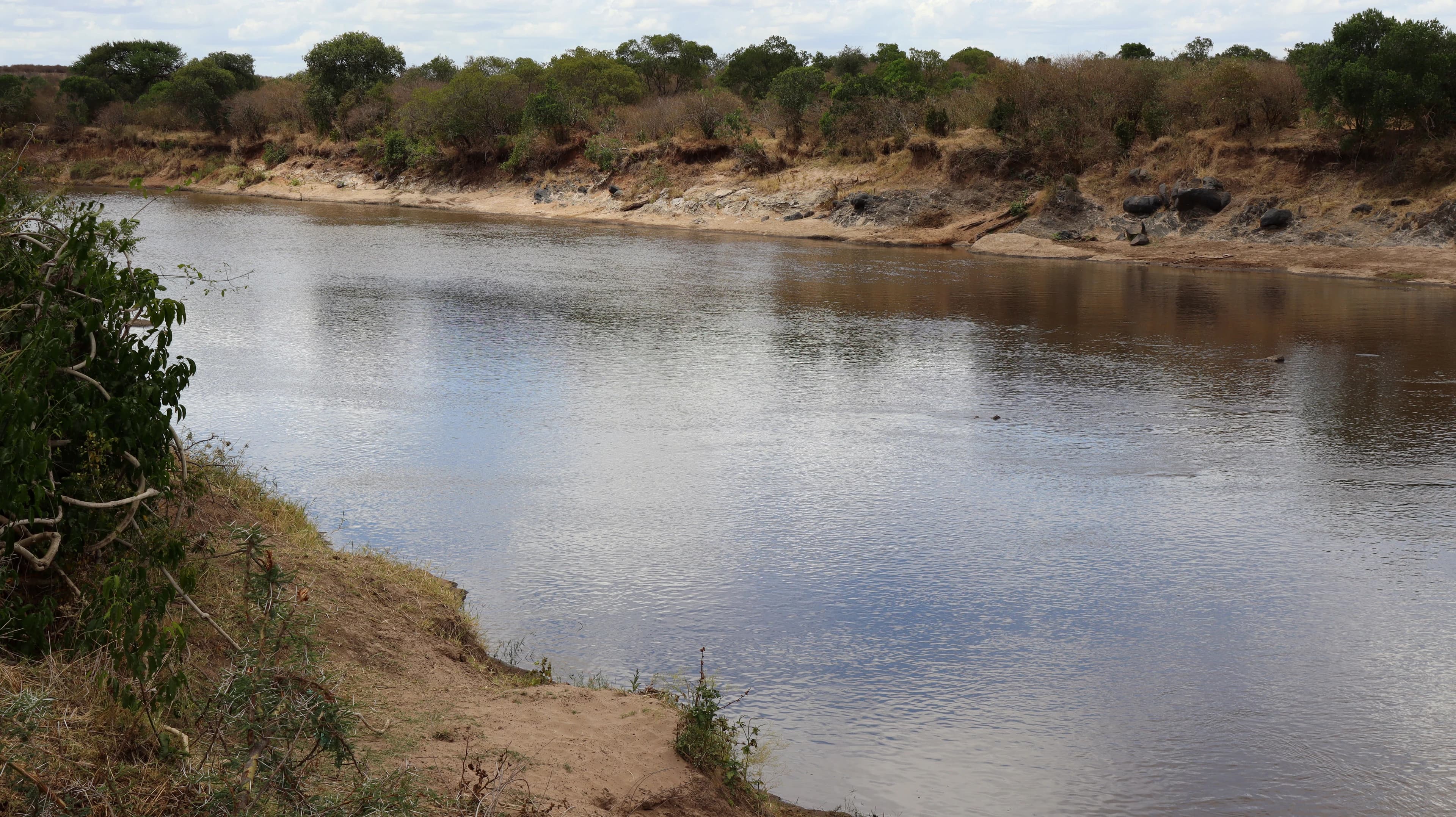 A broad river flowing between sandy banks in the Maasai Mara