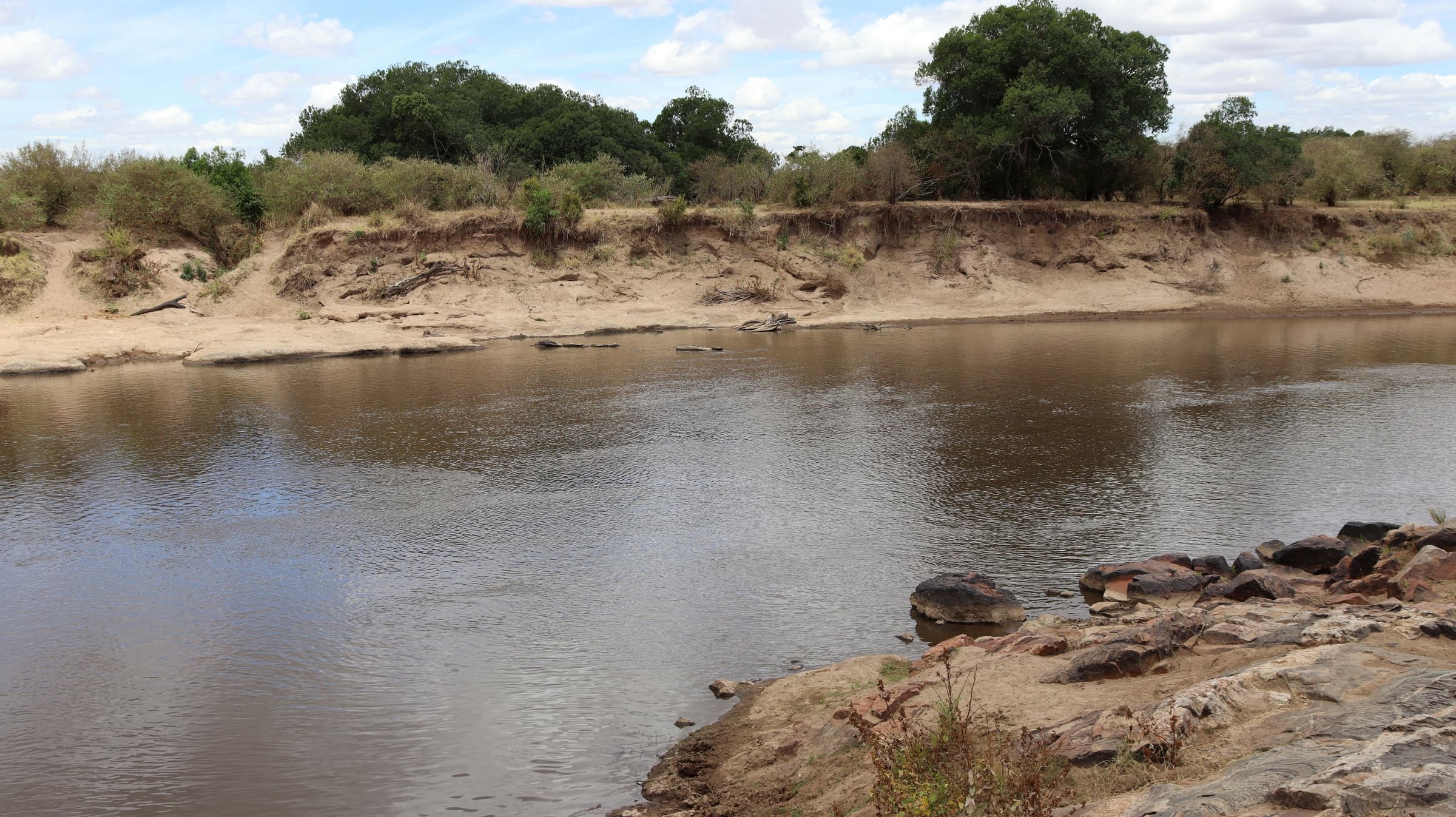 A rocky shore on a broad river below a wooded bank in the Maasai Mara