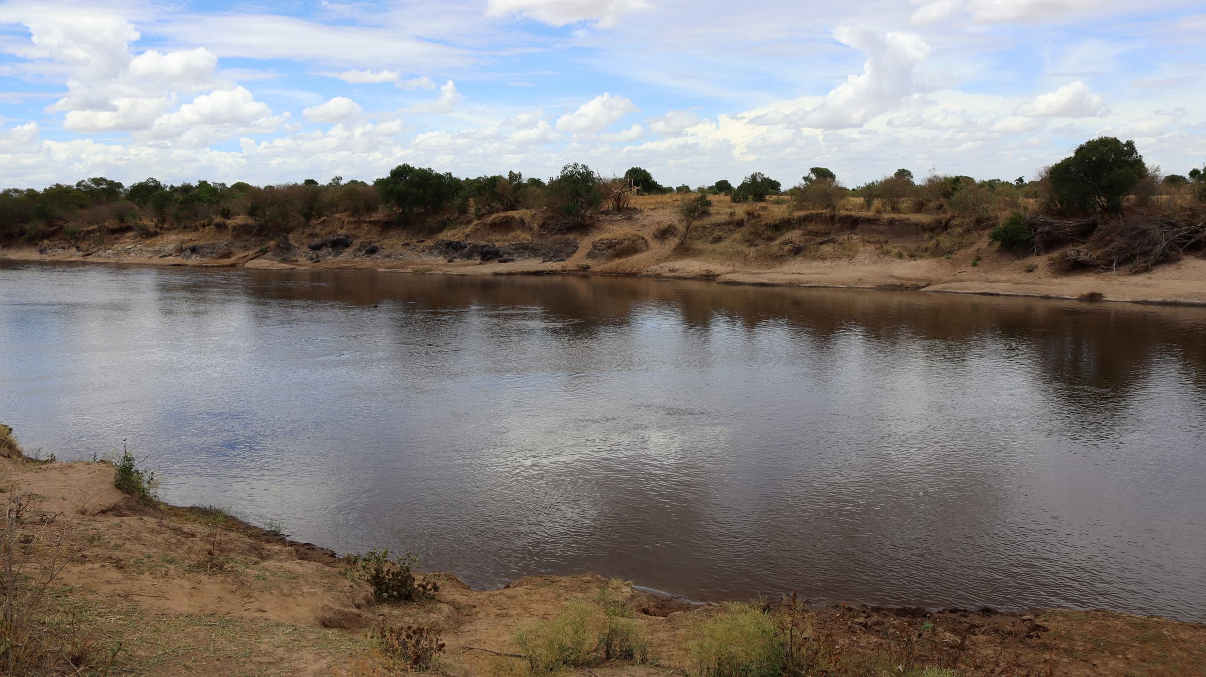 A wide river flowing between wooded banks in the Maasai Mara