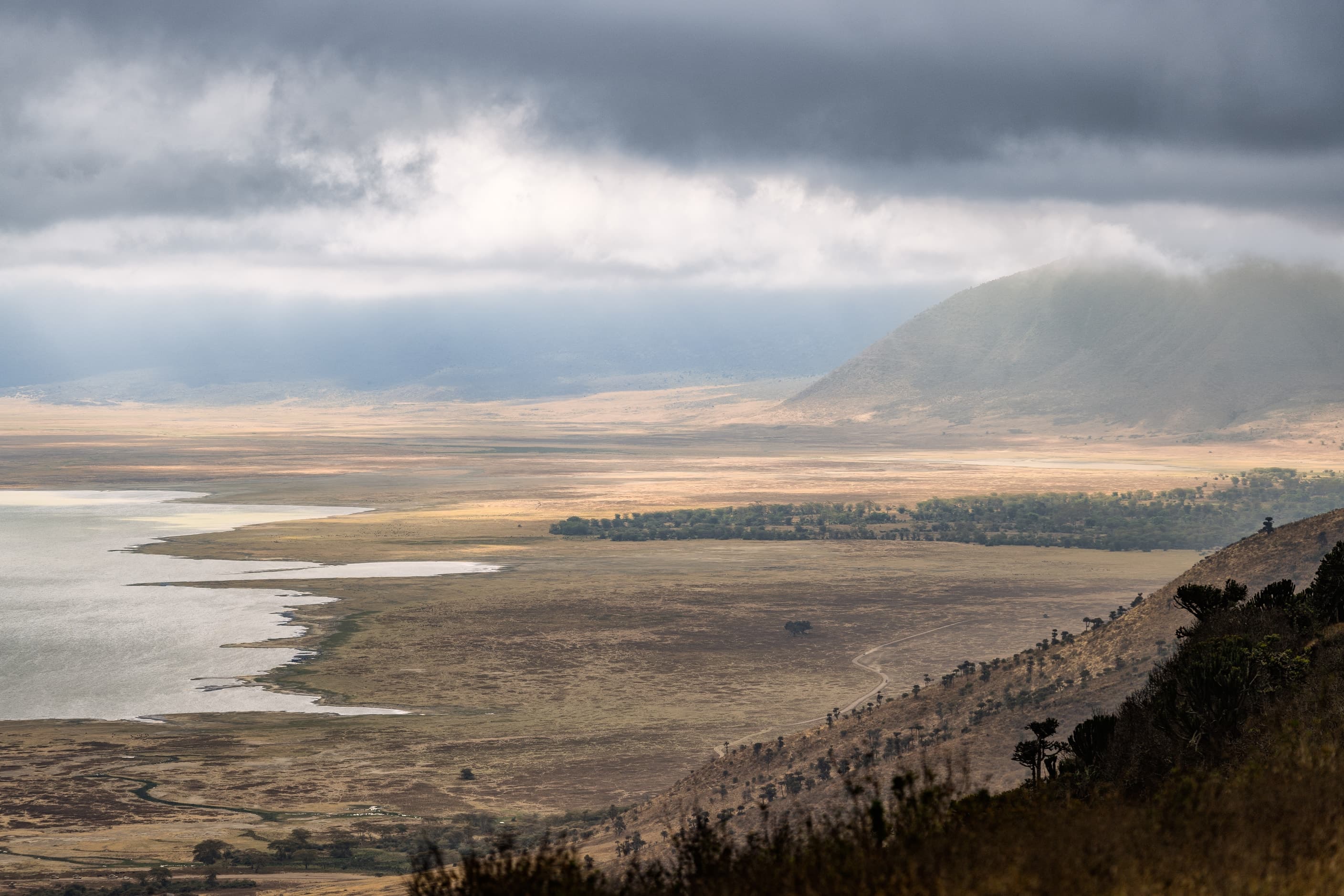 Herds on the floor of the Ngorongoro Crater, seen from the rim