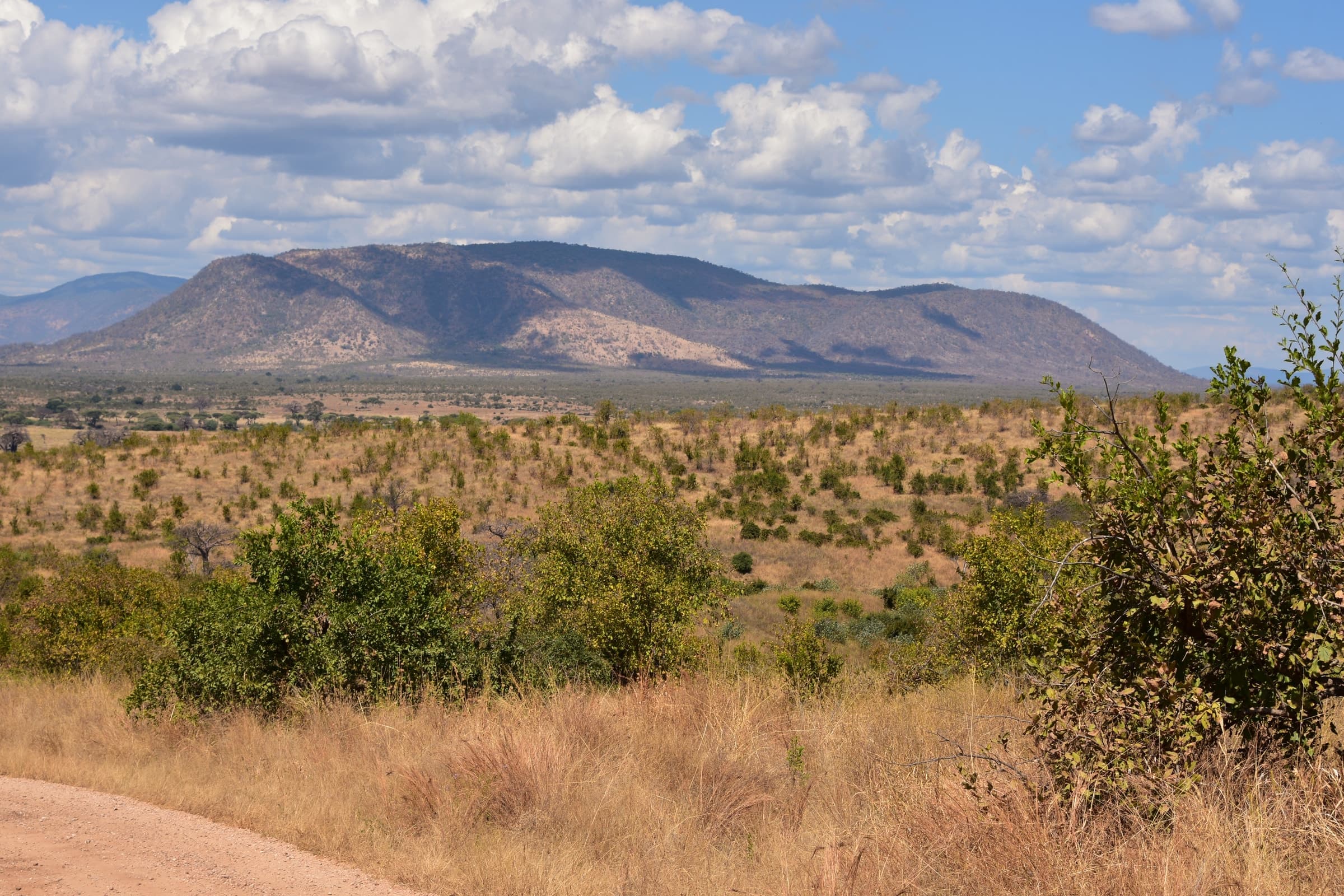 Bush country below a flat-topped mountain in Ruaha National Park, Tanzania
