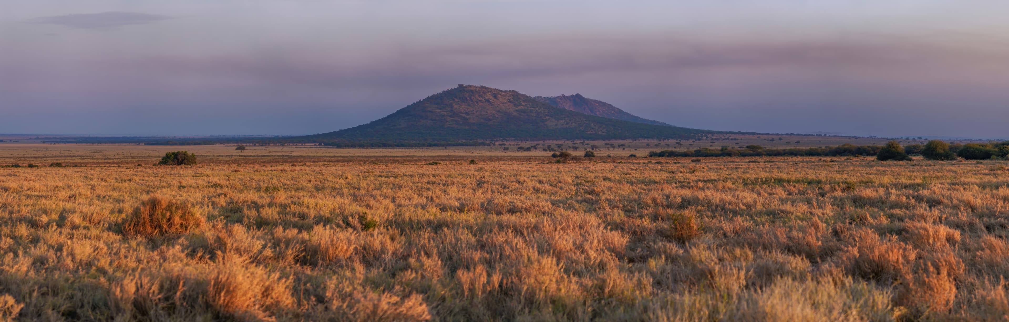 The Serengeti plains at sunrise, Serengeti National Park, Tanzania