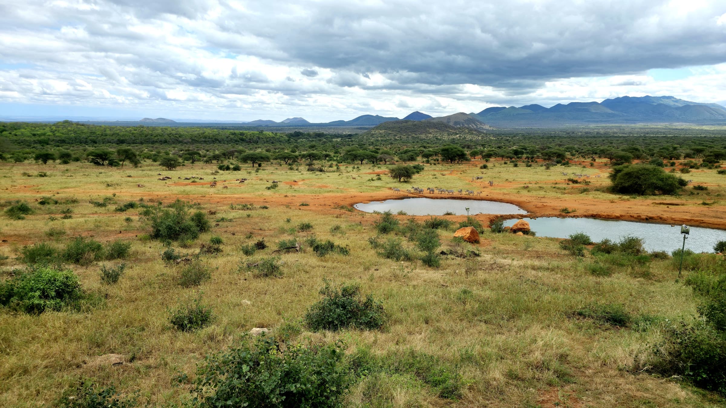 Open bush country in Tsavo West National Park, Kenya