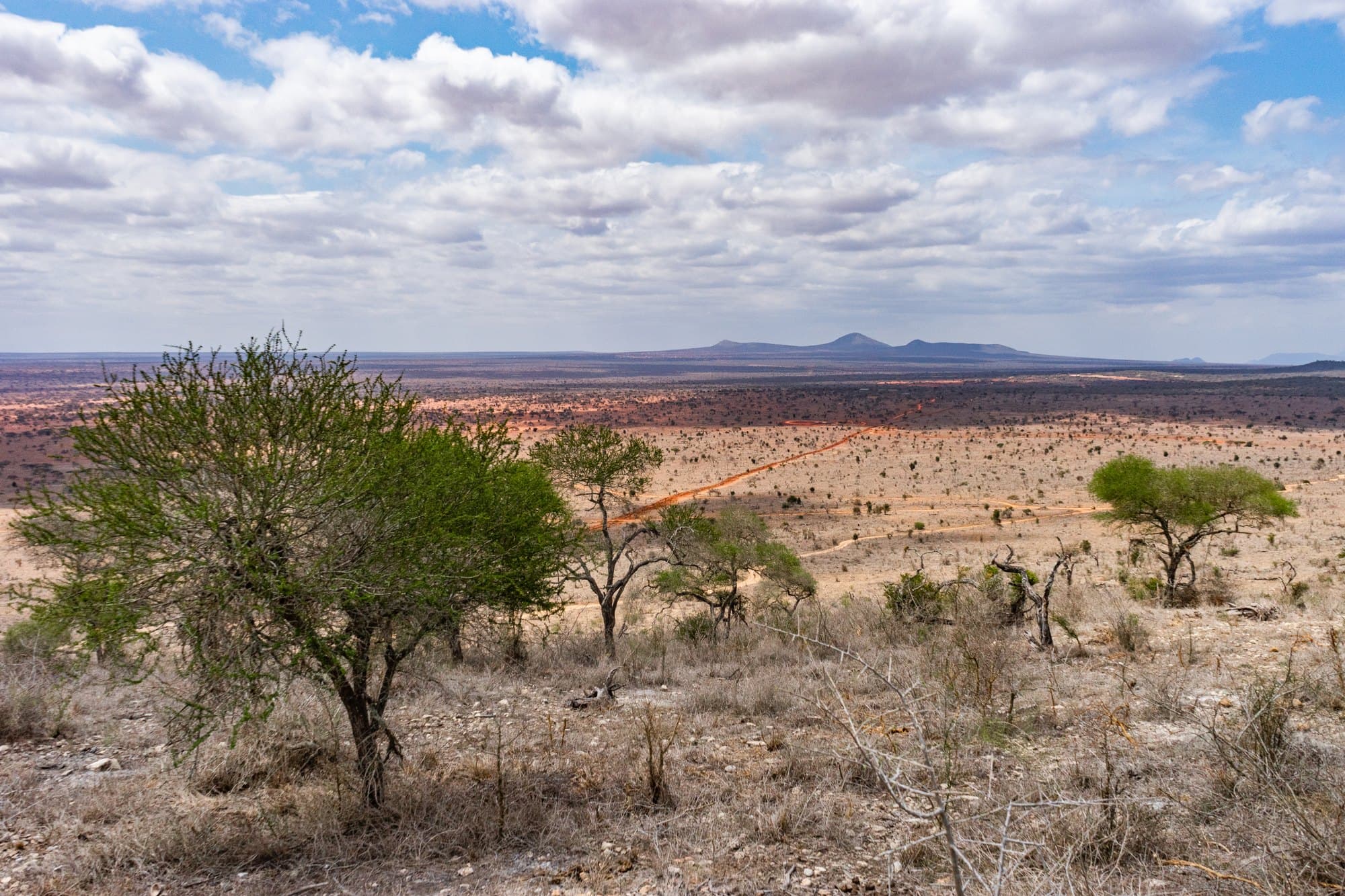 Red earth and scattered trees below distant hills in Tsavo West, Kenya